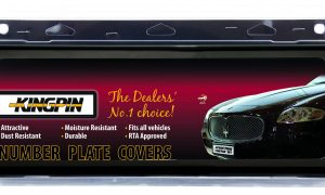 Kingpin Standard Covers (6 Letters All States)