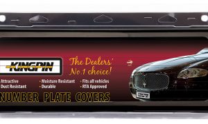 Kingpin Standard Covers with Pinstripe (6 Letters All States)